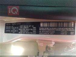 جيب رينيجيد